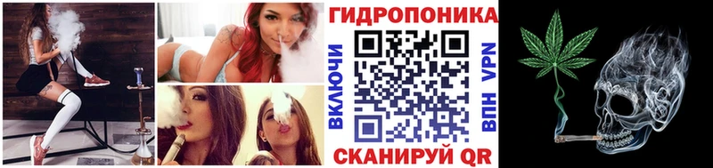 MEGA как зайти  Белозерск  это Telegram  Бошки марихуана сатива 
